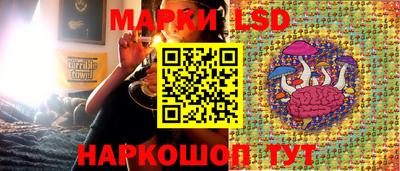 a pvp Моздок