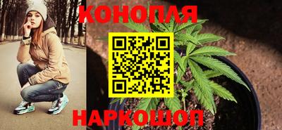 a pvp Моздок